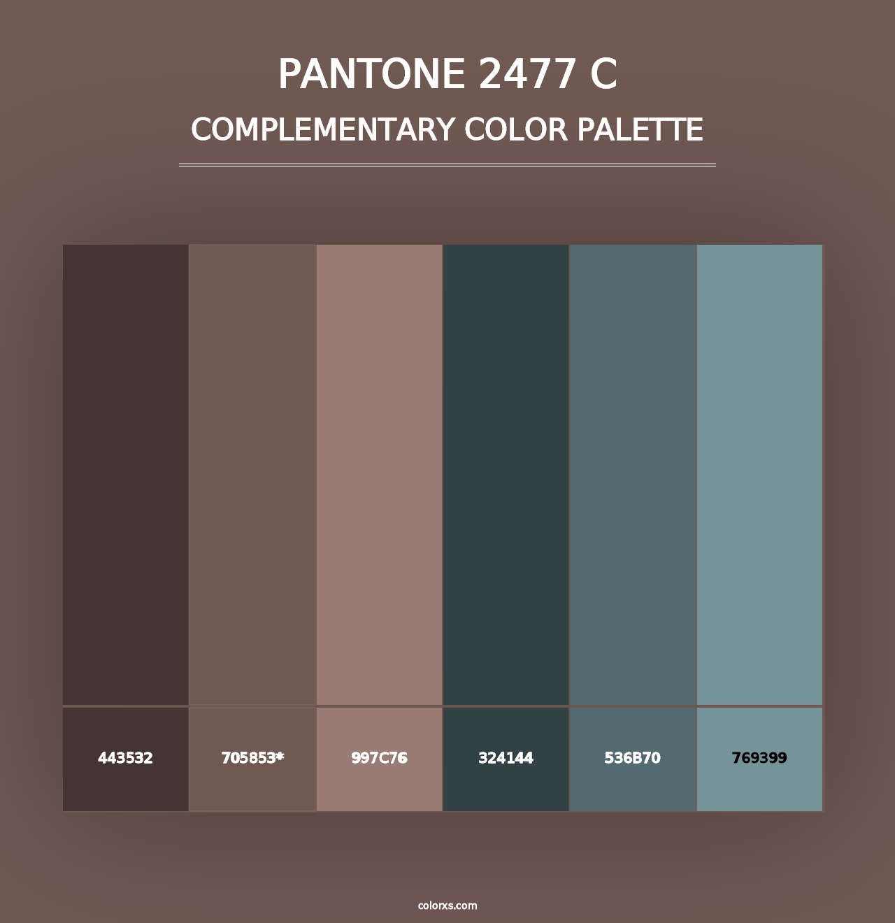 PANTONE 2477 C - Complementary Color Palette