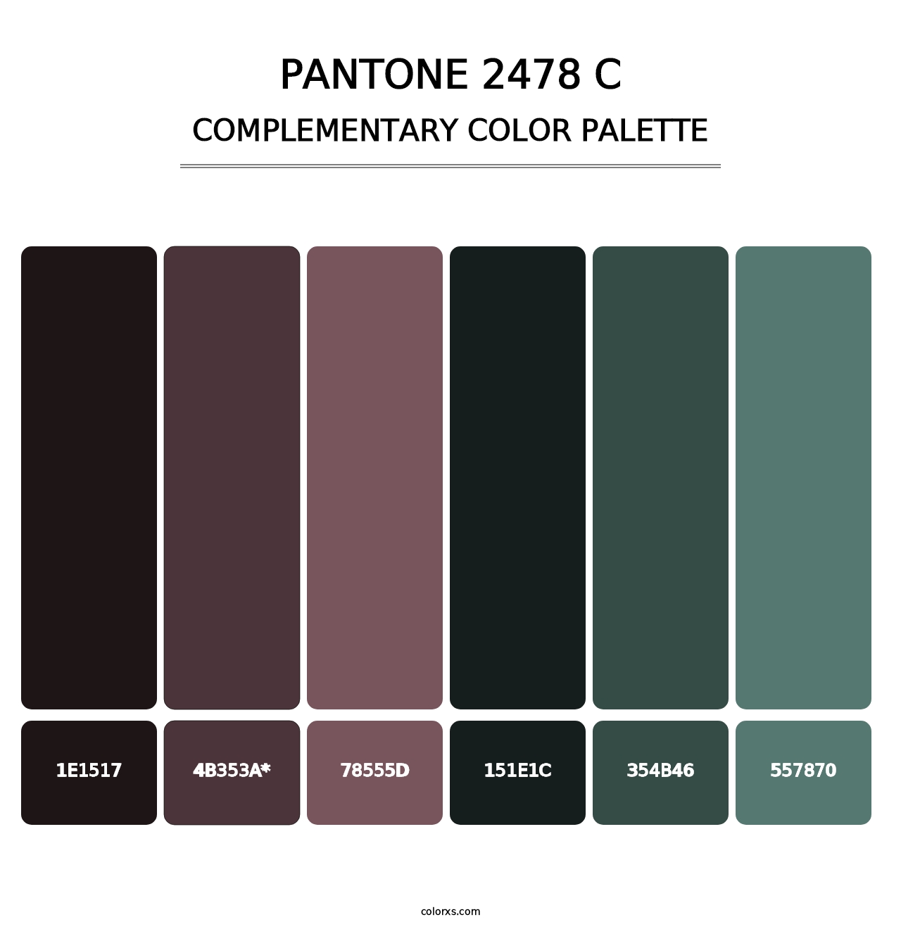 PANTONE 2478 C - Complementary Color Palette