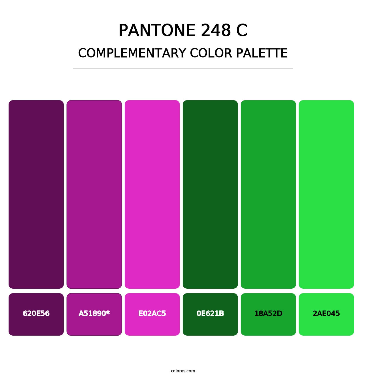 PANTONE 248 C - Complementary Color Palette