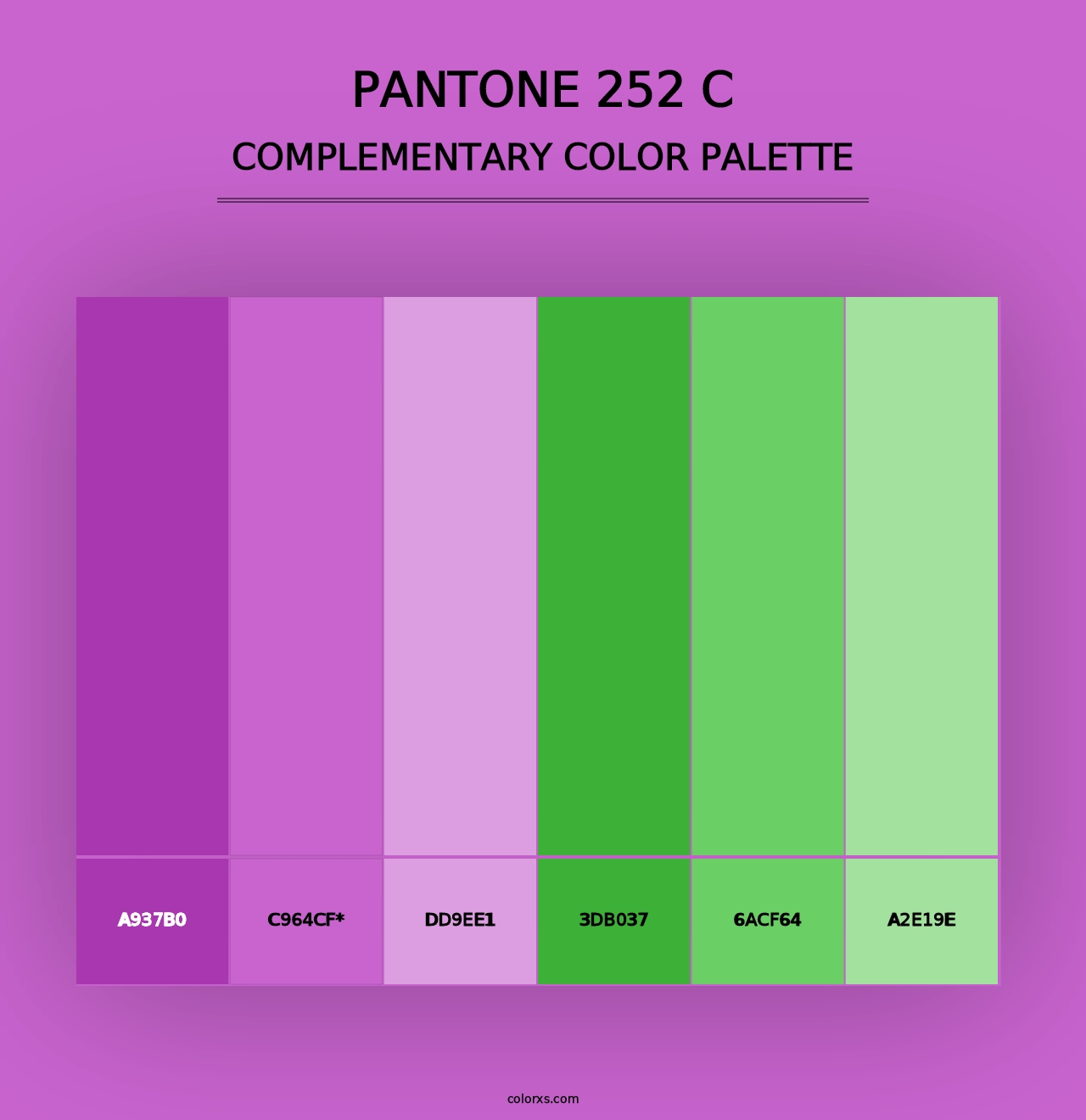 PANTONE 252 C - Complementary Color Palette