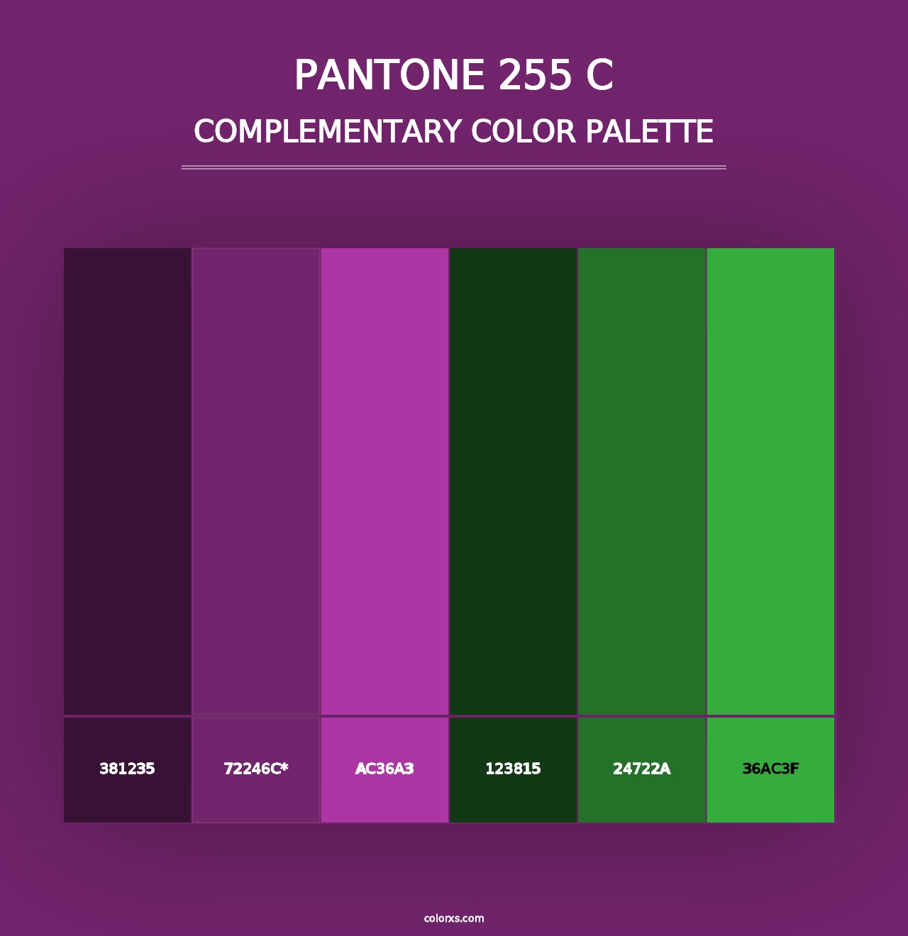 PANTONE 255 C - Complementary Color Palette