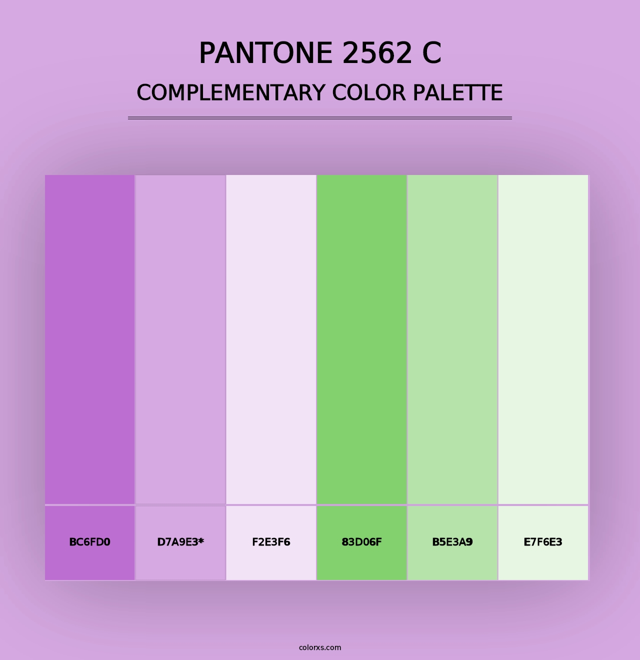 PANTONE 2562 C - Complementary Color Palette