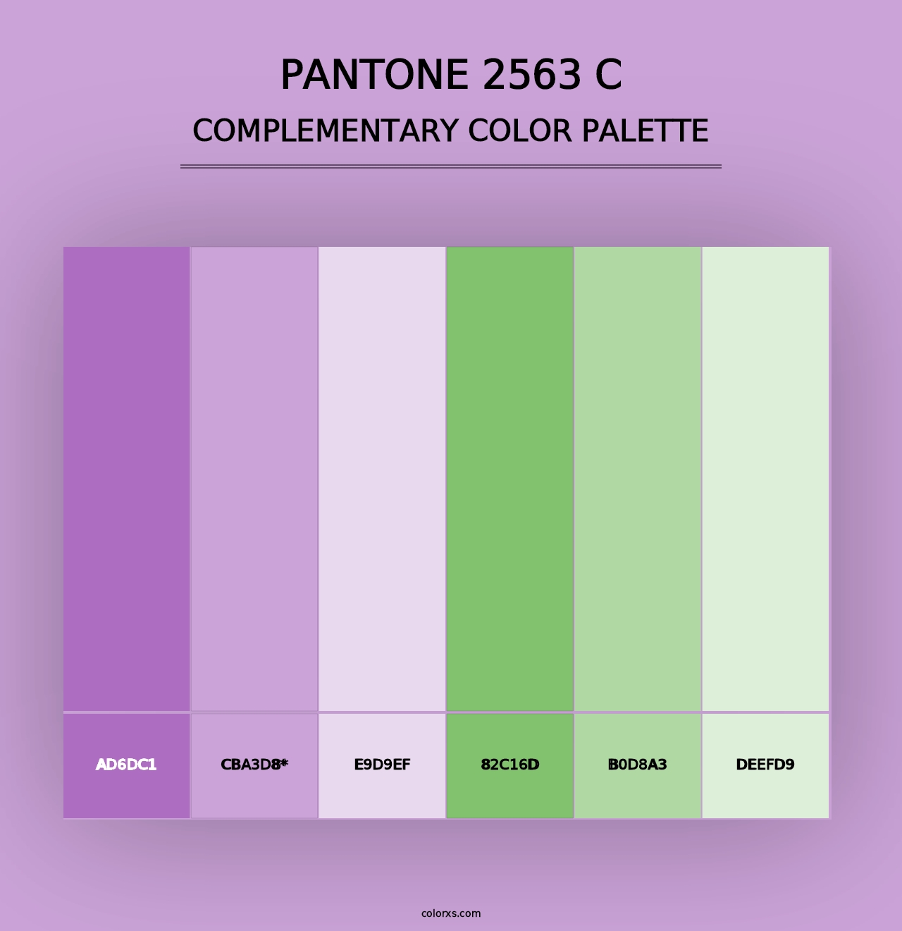 PANTONE 2563 C - Complementary Color Palette