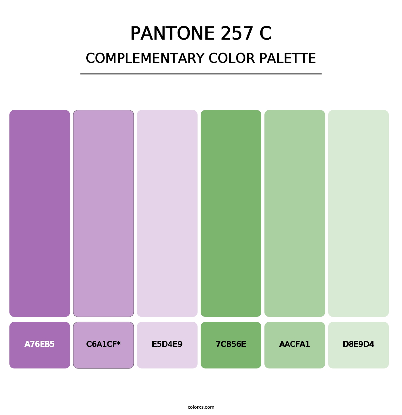 PANTONE 257 C - Complementary Color Palette