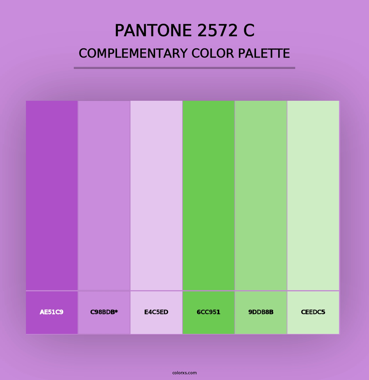 PANTONE 2572 C - Complementary Color Palette