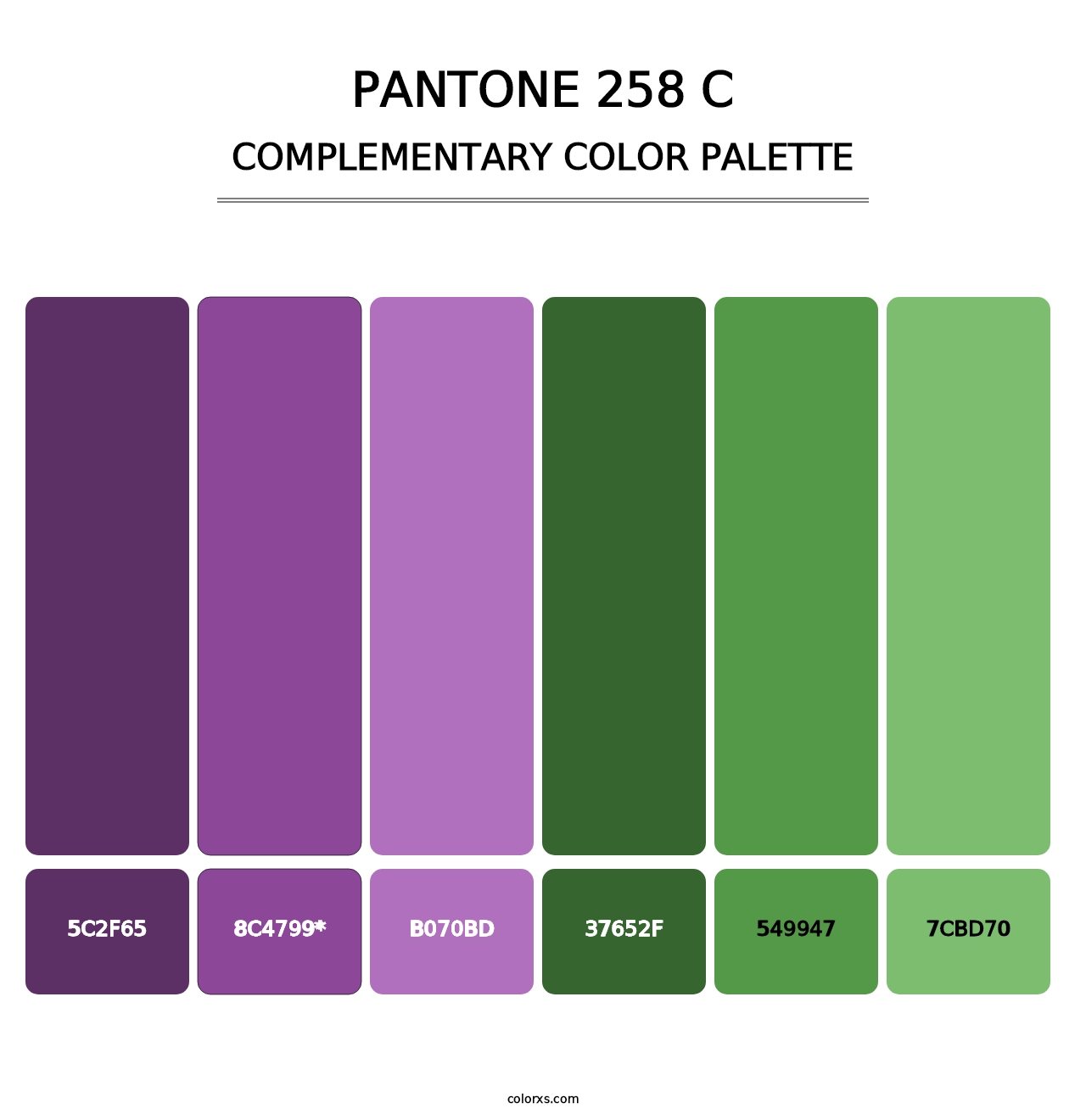 PANTONE 258 C - Complementary Color Palette