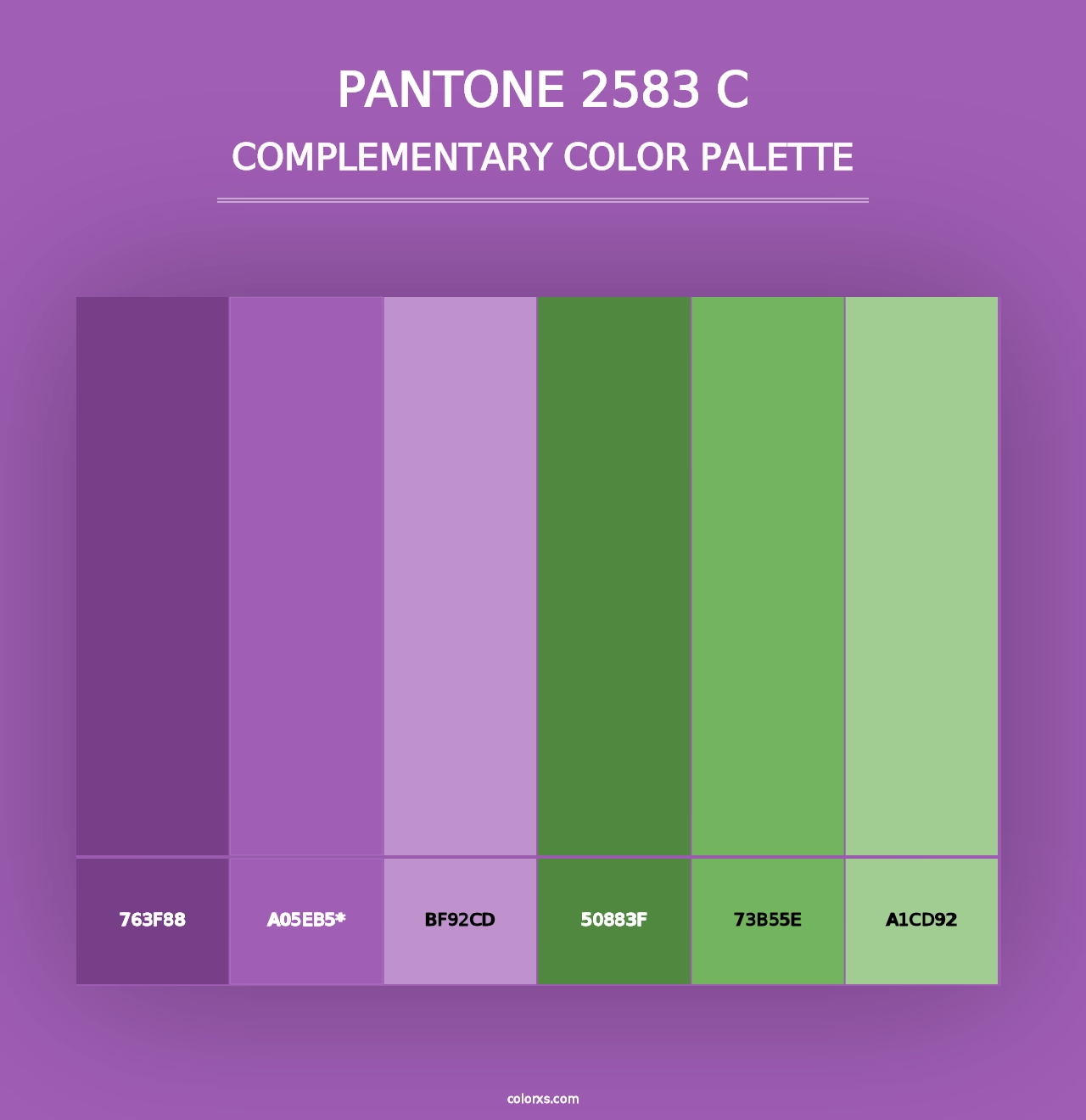 PANTONE 2583 C - Complementary Color Palette