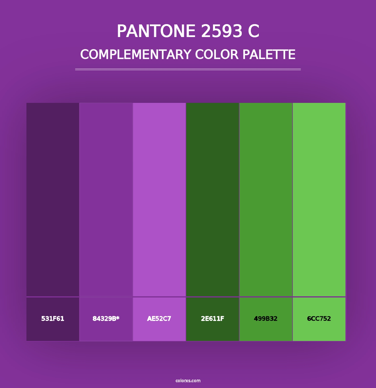 PANTONE 2593 C - Complementary Color Palette