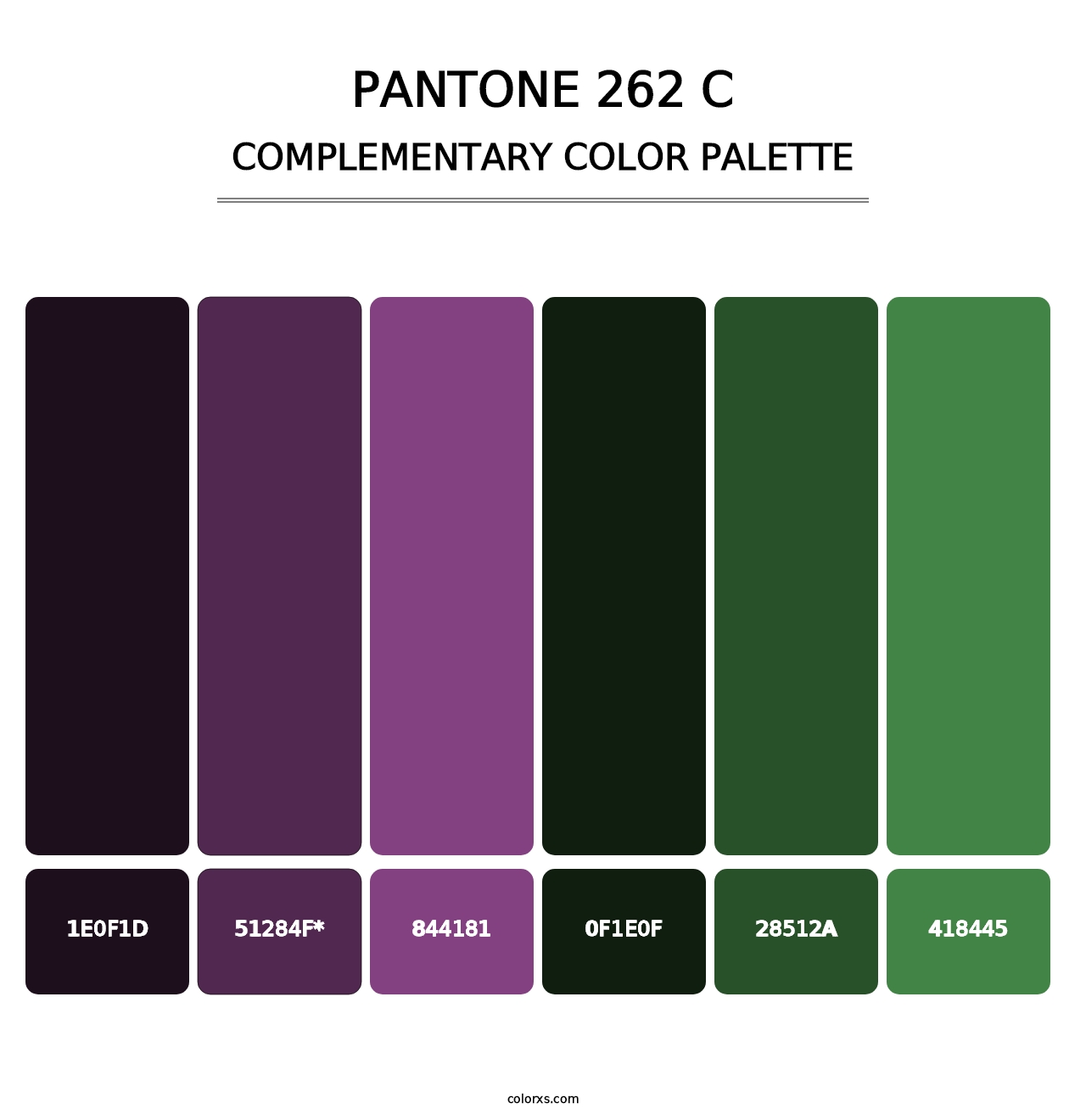 PANTONE 262 C - Complementary Color Palette