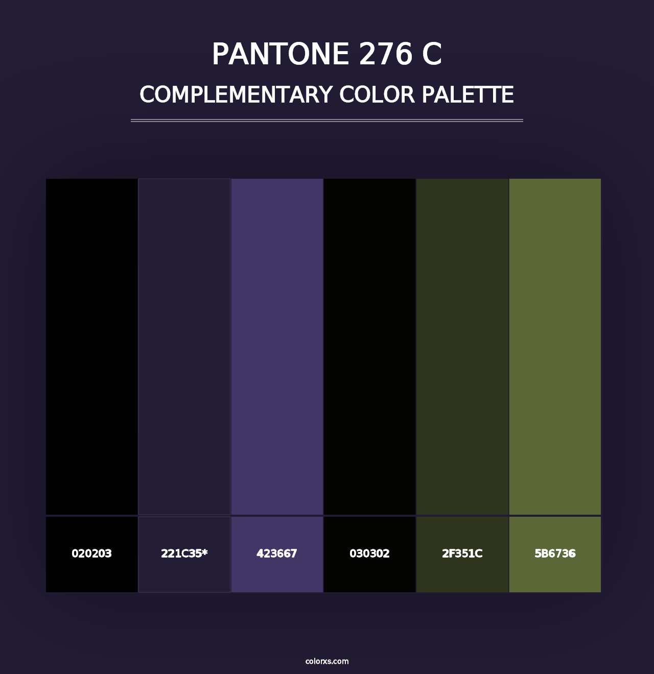 PANTONE 276 C - Complementary Color Palette