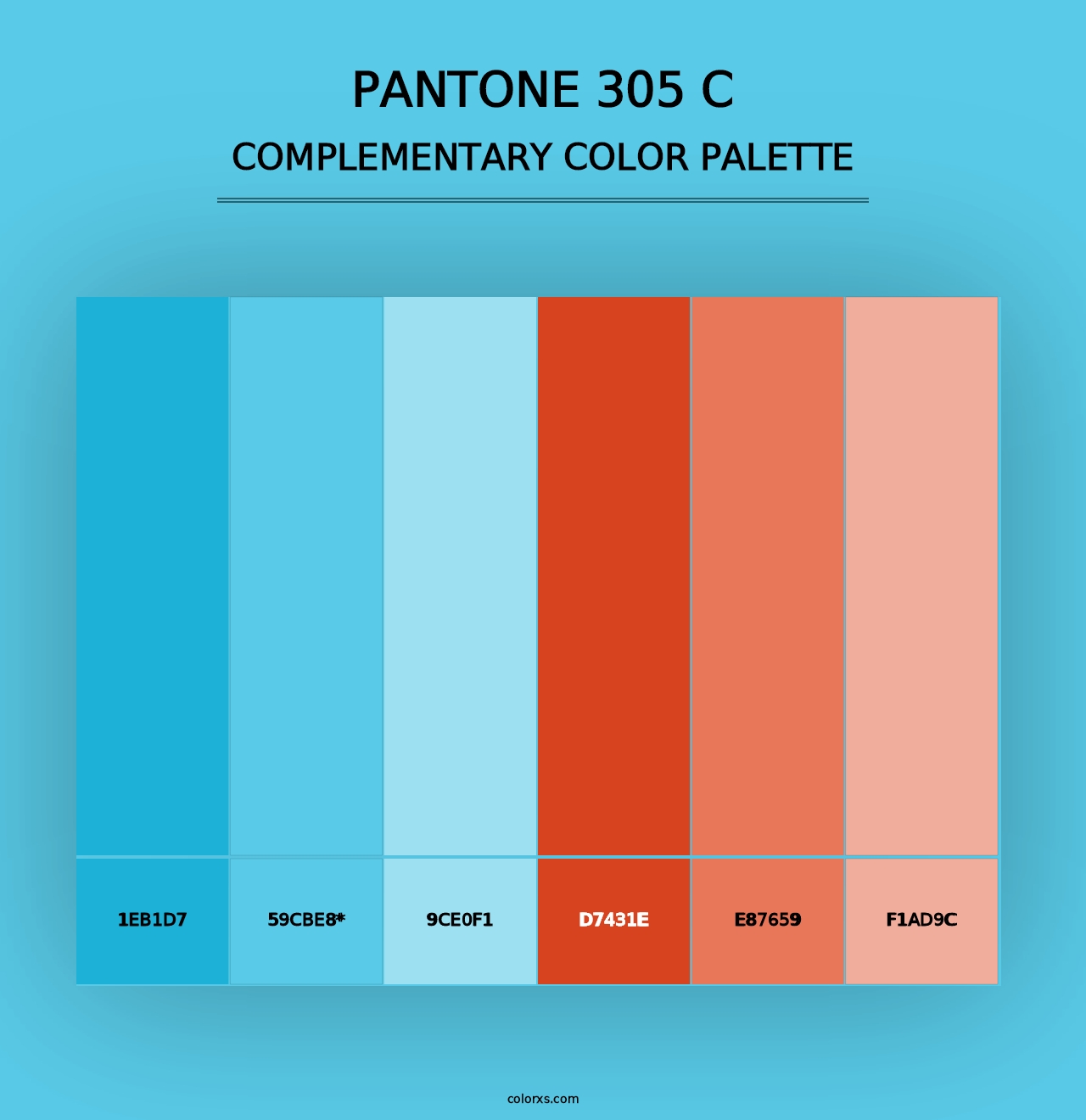 PANTONE 305 C - Complementary Color Palette