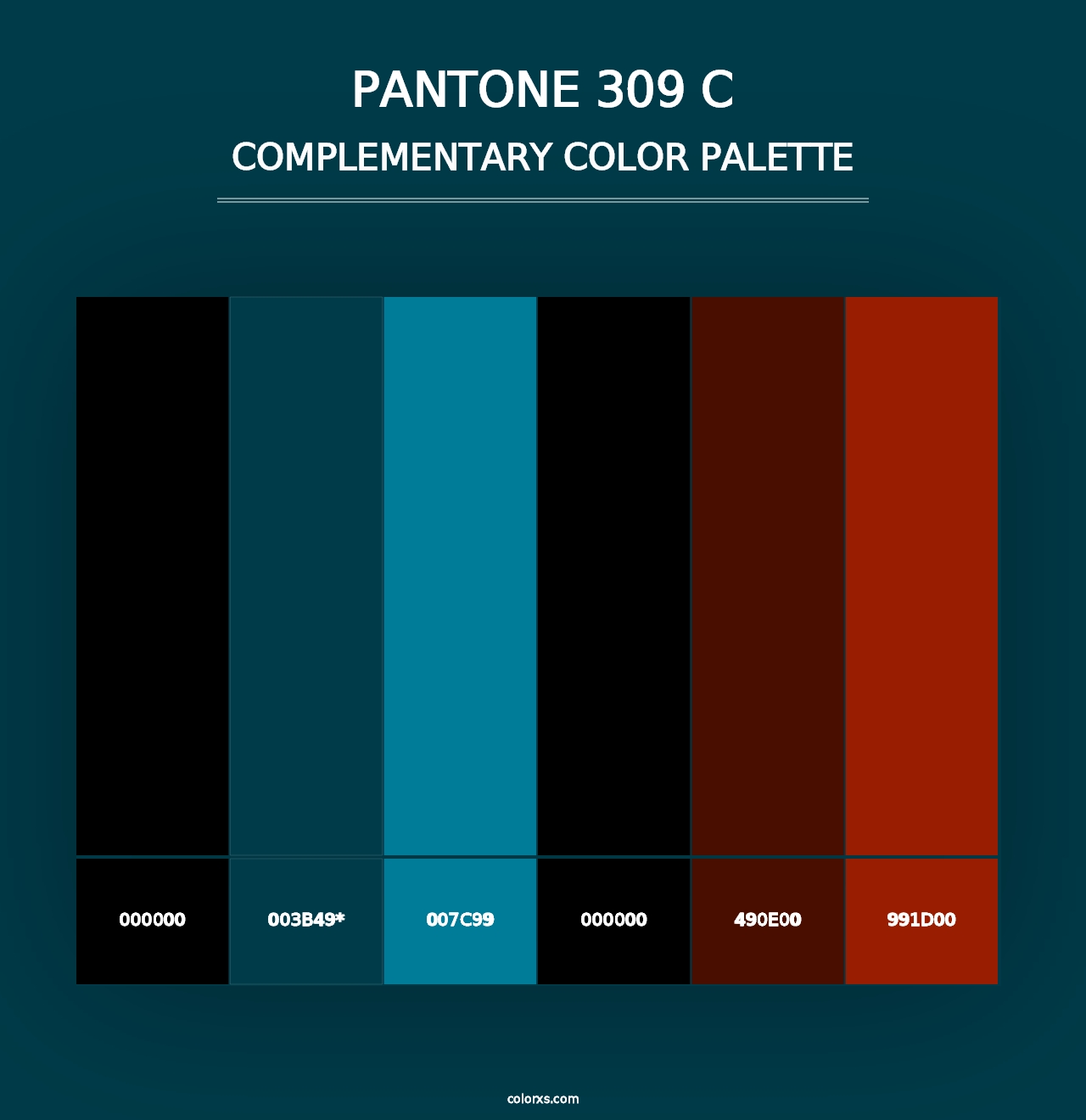 PANTONE 309 C - Complementary Color Palette