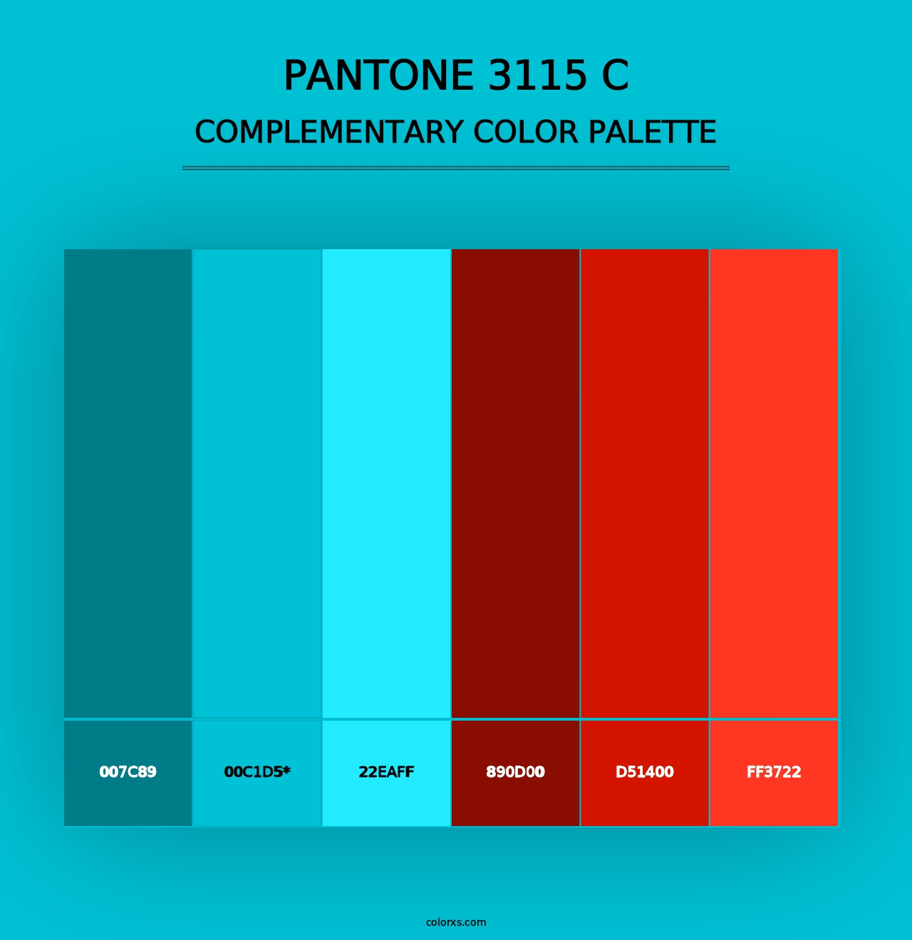 PANTONE 3115 C - Complementary Color Palette