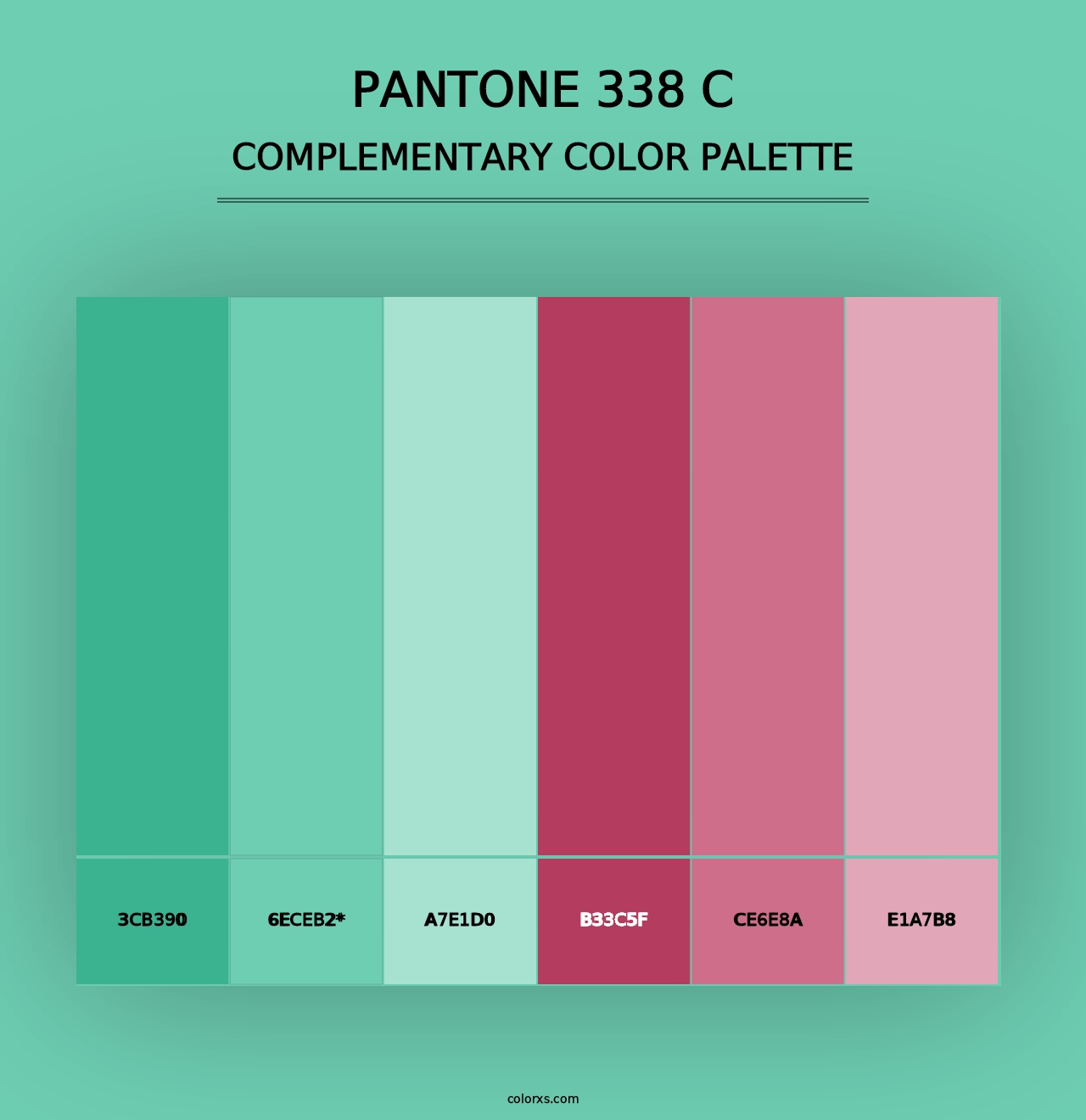 PANTONE 338 C - Complementary Color Palette