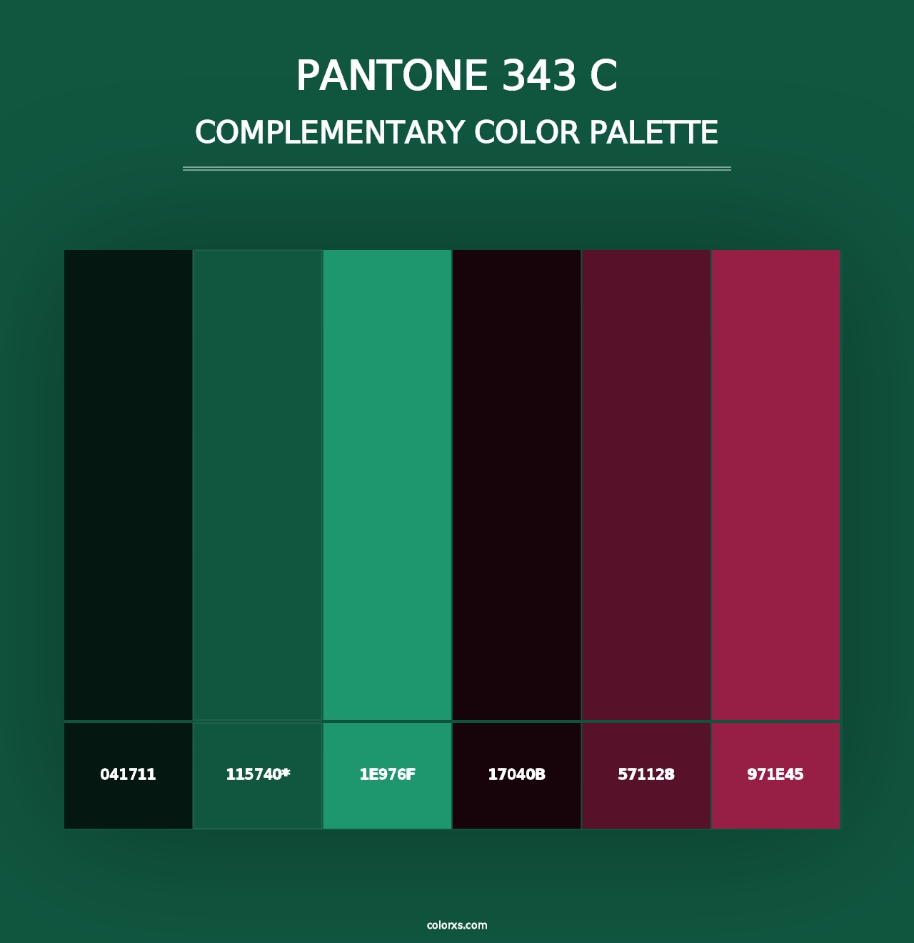 PANTONE 343 C - Complementary Color Palette