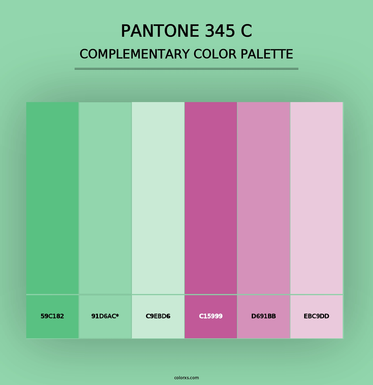 PANTONE 345 C - Complementary Color Palette