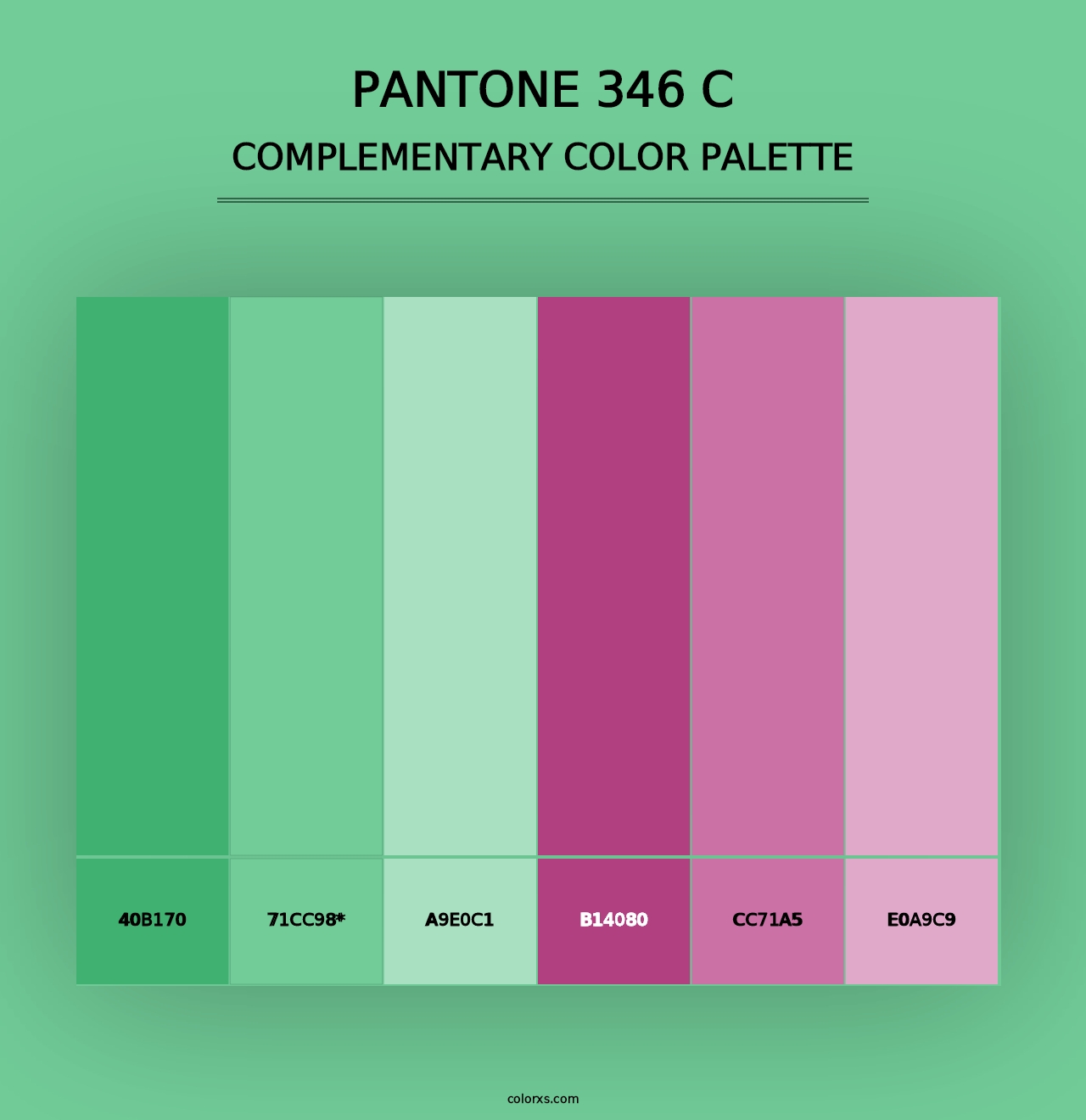 PANTONE 346 C - Complementary Color Palette