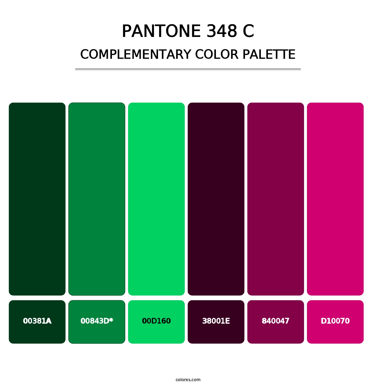 PANTONE 348 C - Complementary Color Palette