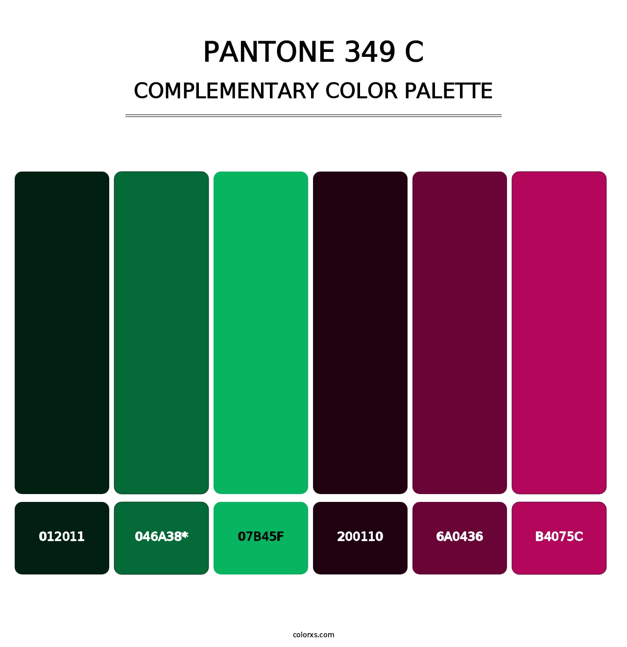 PANTONE 349 C - Complementary Color Palette