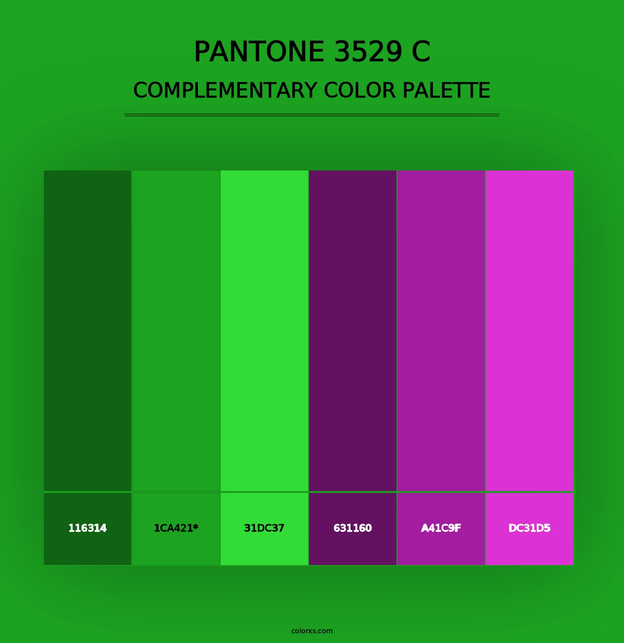 PANTONE 3529 C - Complementary Color Palette