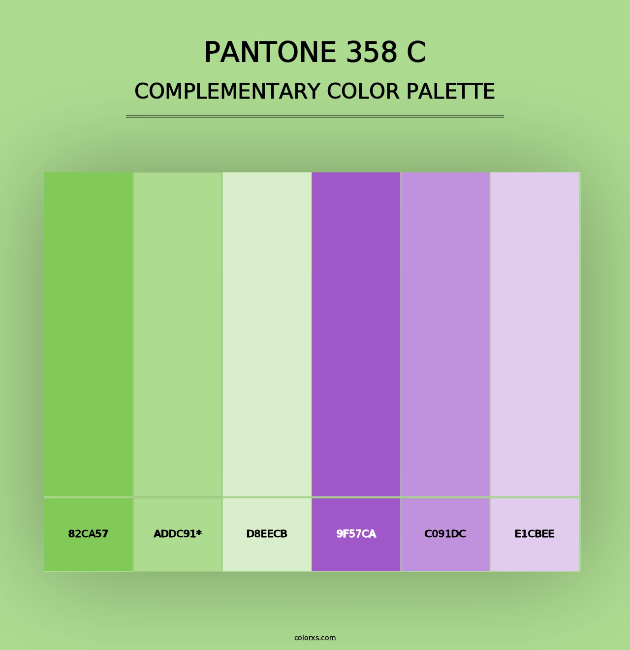 PANTONE 358 C - Complementary Color Palette