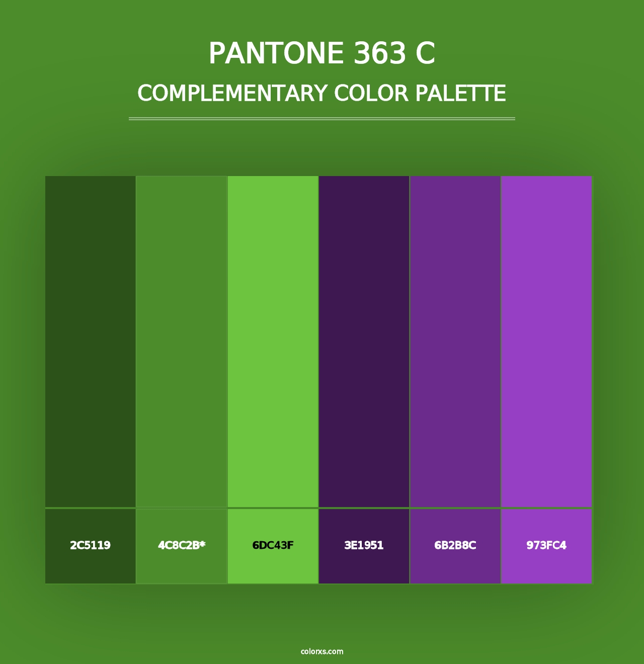 PANTONE 363 C - Complementary Color Palette