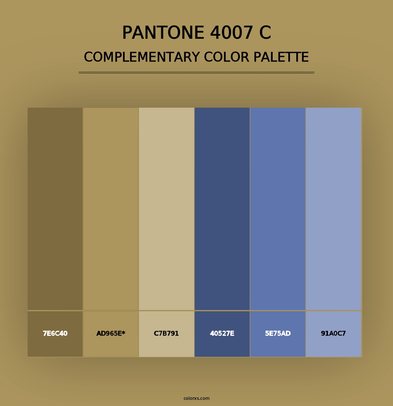 PANTONE 4007 C - Complementary Color Palette