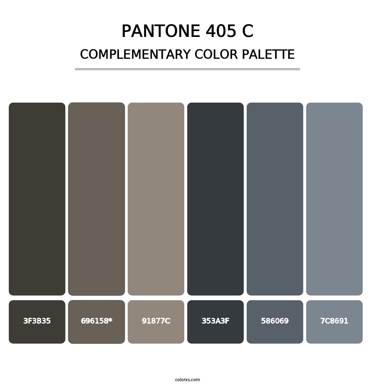 PANTONE 405 C - Complementary Color Palette