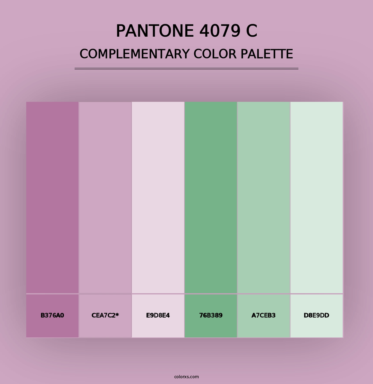 PANTONE 4079 C - Complementary Color Palette