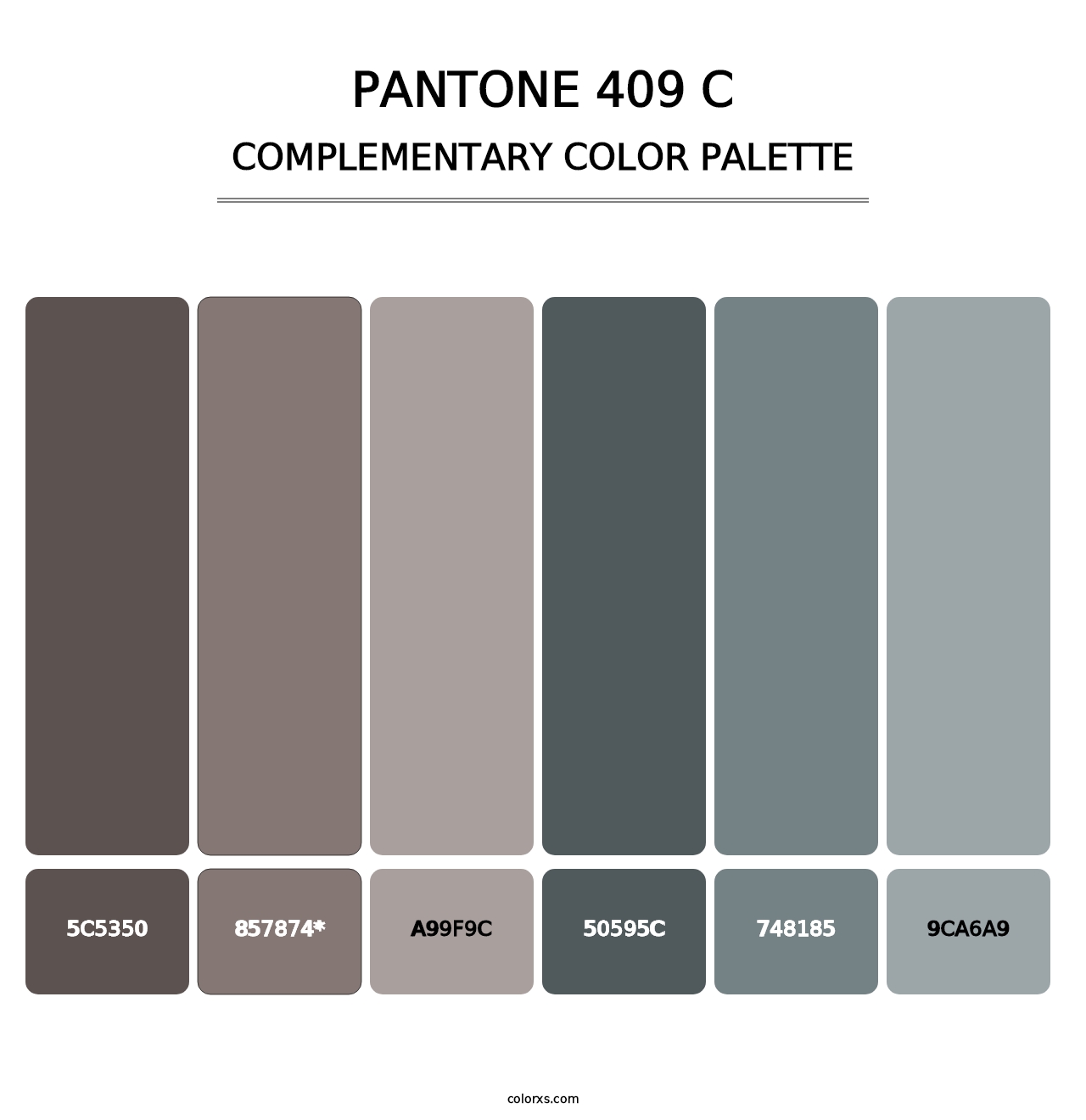 PANTONE 409 C - Complementary Color Palette