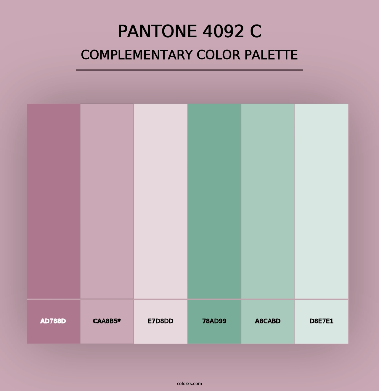 PANTONE 4092 C - Complementary Color Palette