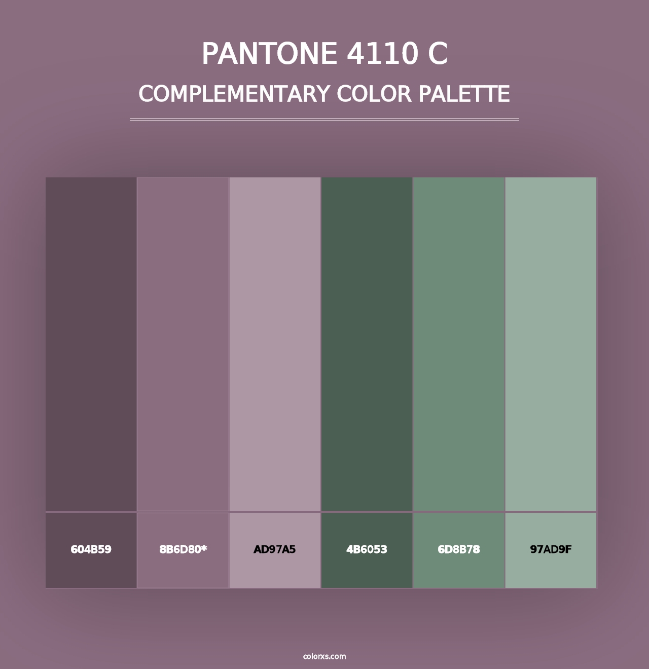 PANTONE 4110 C - Complementary Color Palette