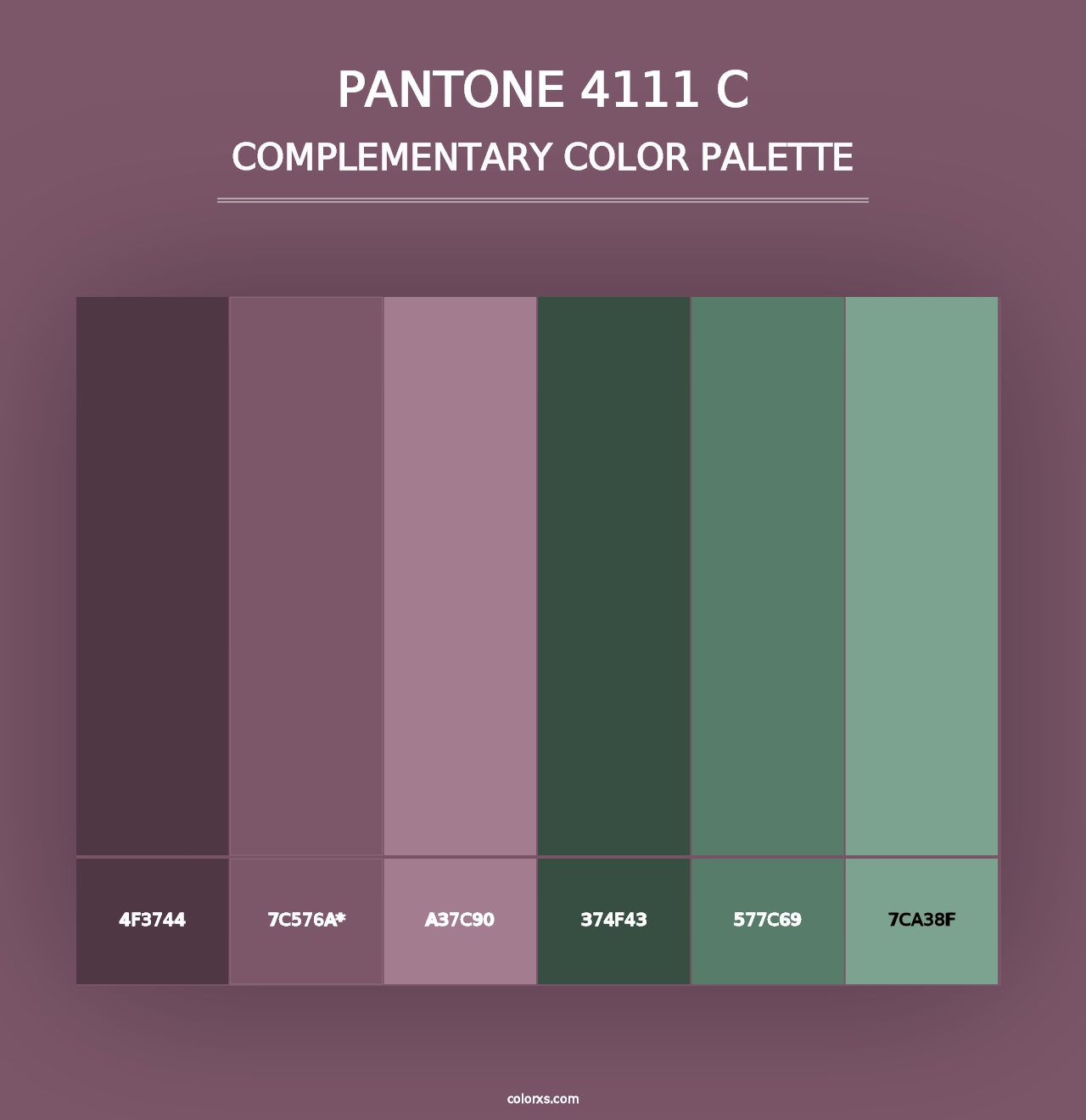 PANTONE 4111 C - Complementary Color Palette