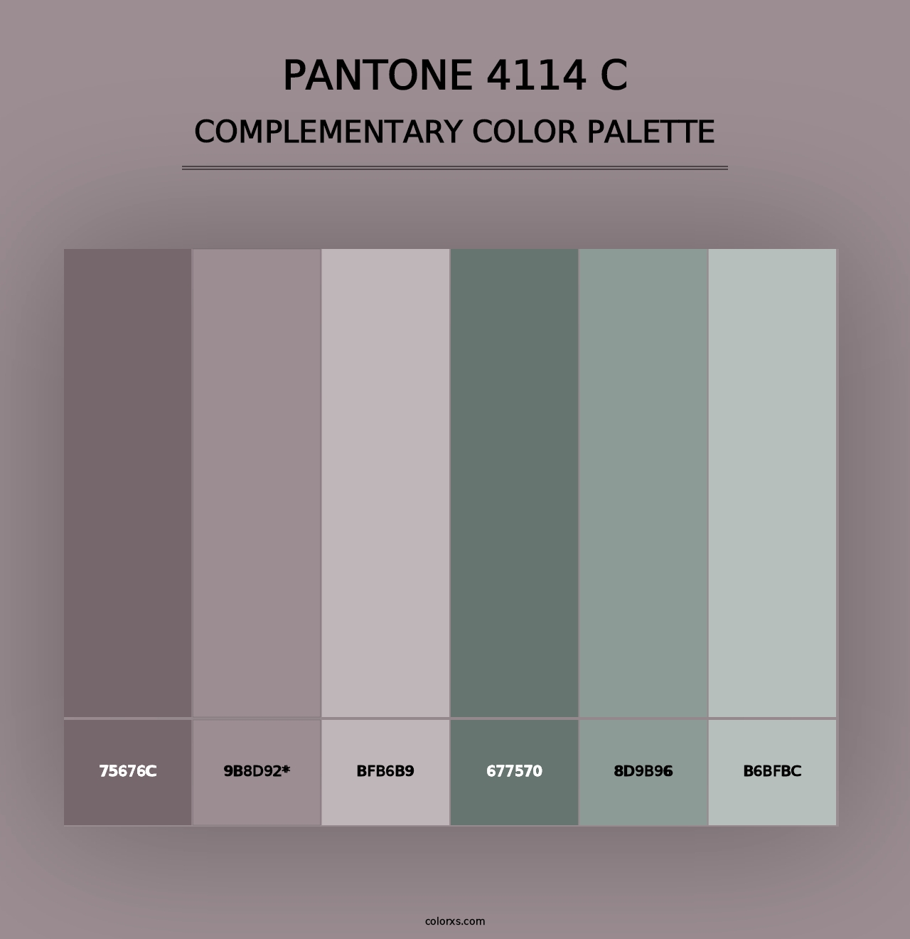 PANTONE 4114 C - Complementary Color Palette