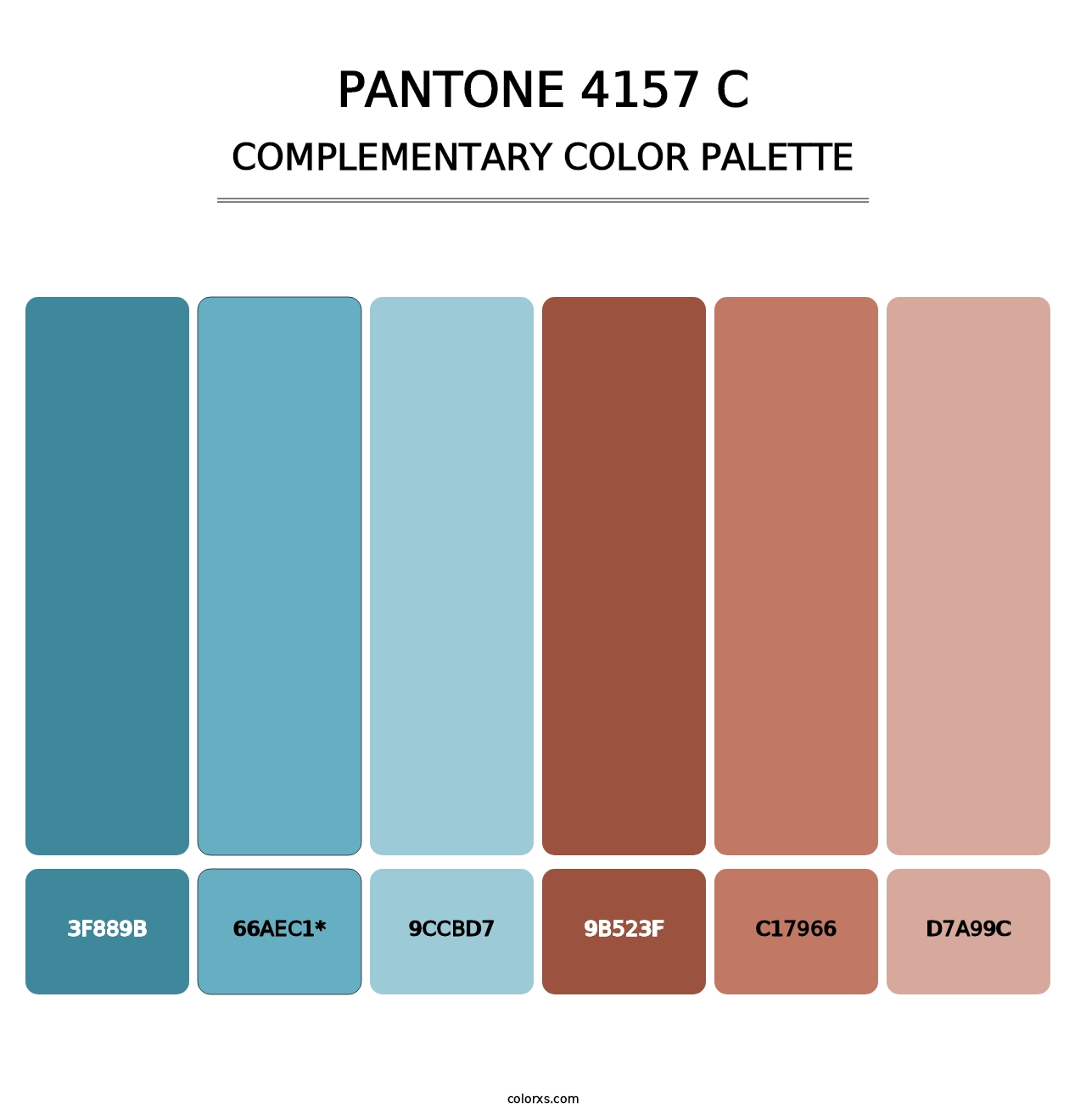 PANTONE 4157 C - Complementary Color Palette