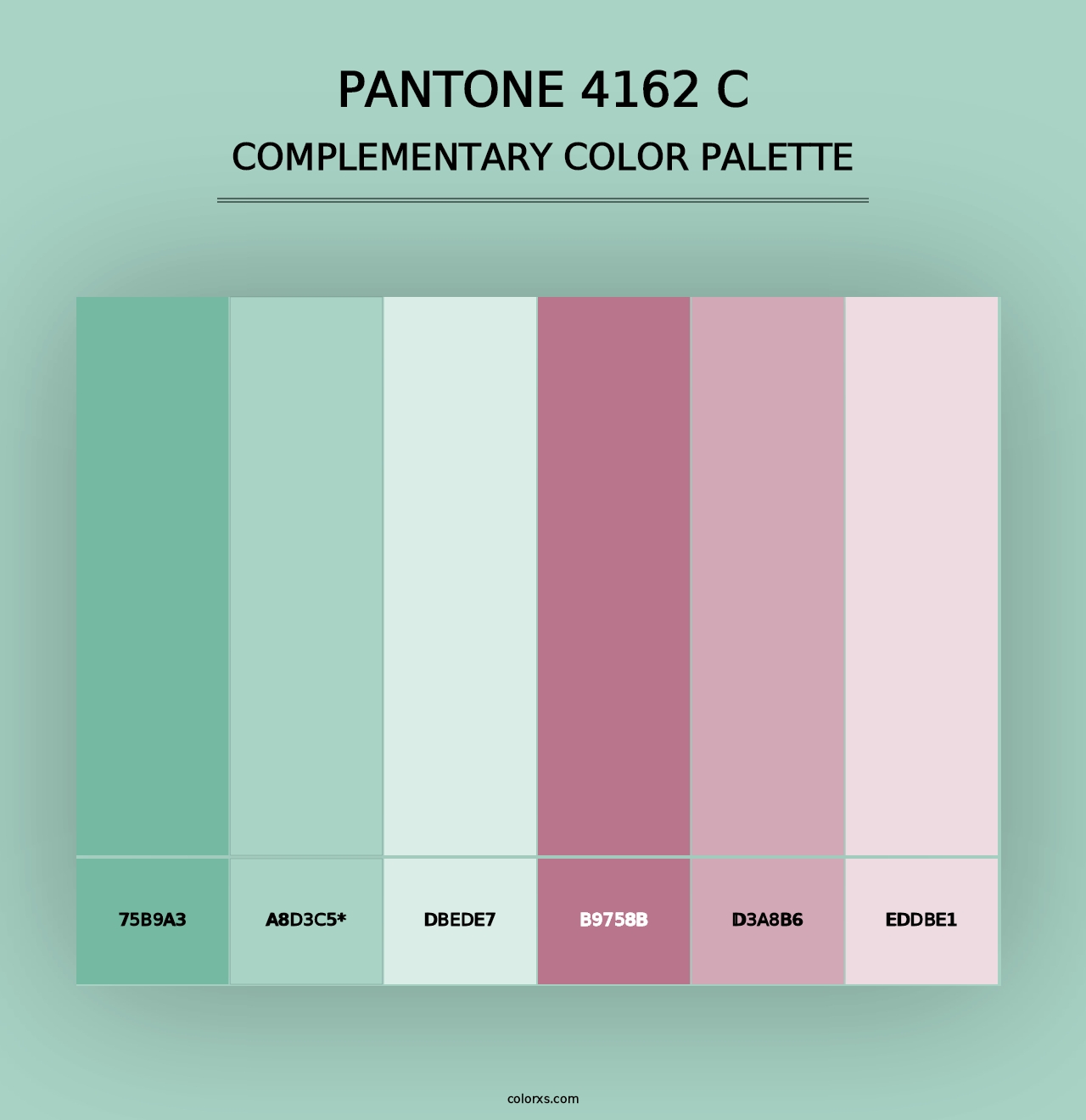 PANTONE 4162 C - Complementary Color Palette