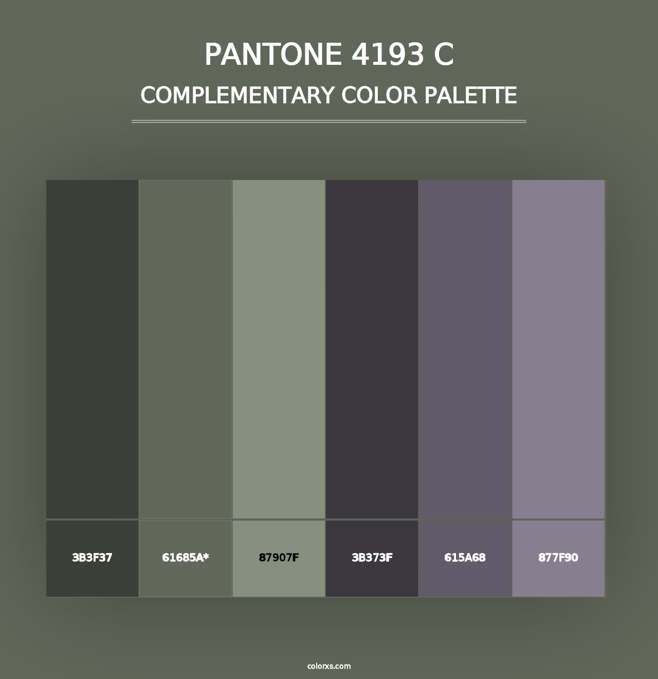 PANTONE 4193 C - Complementary Color Palette