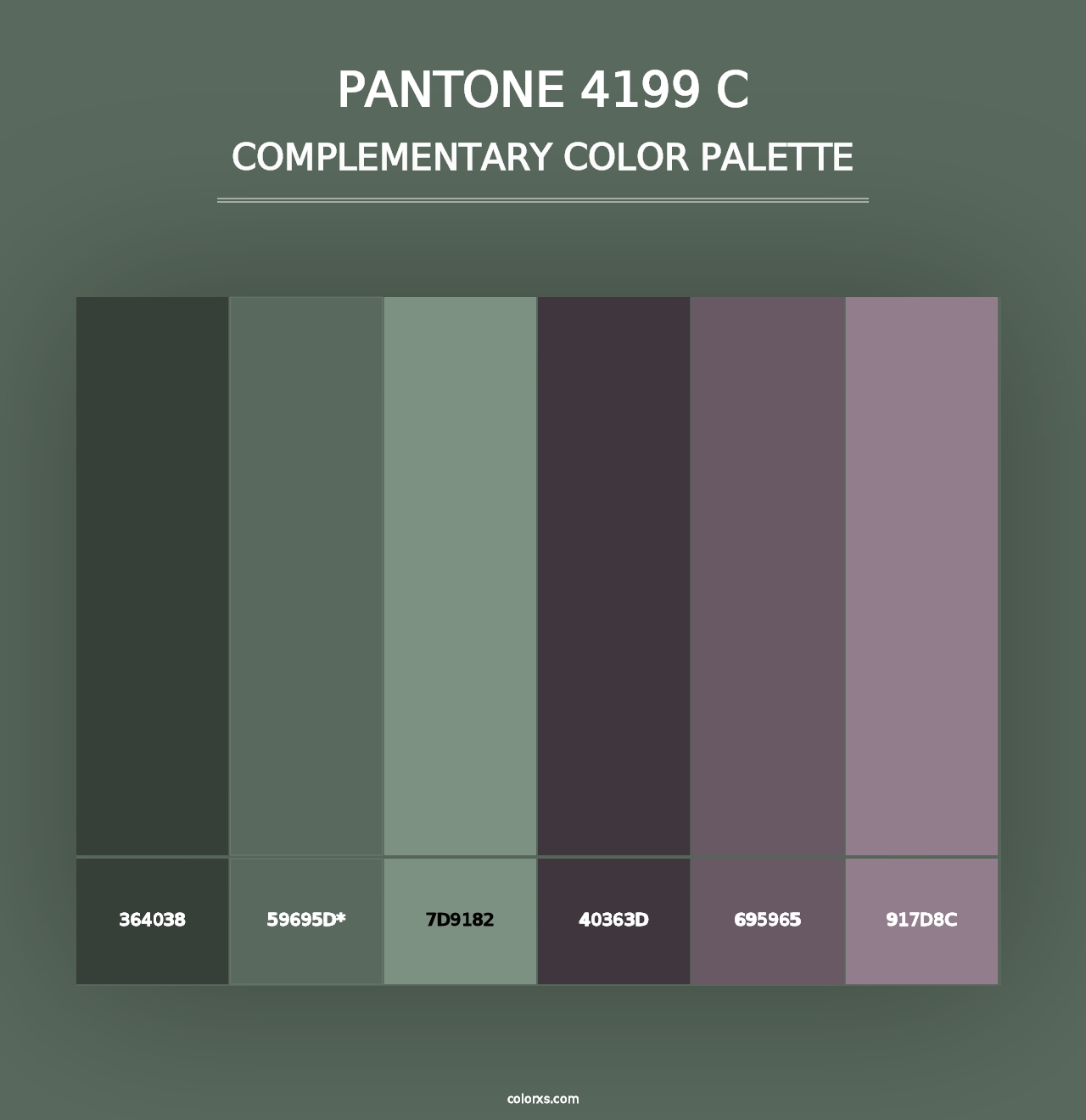 PANTONE 4199 C - Complementary Color Palette