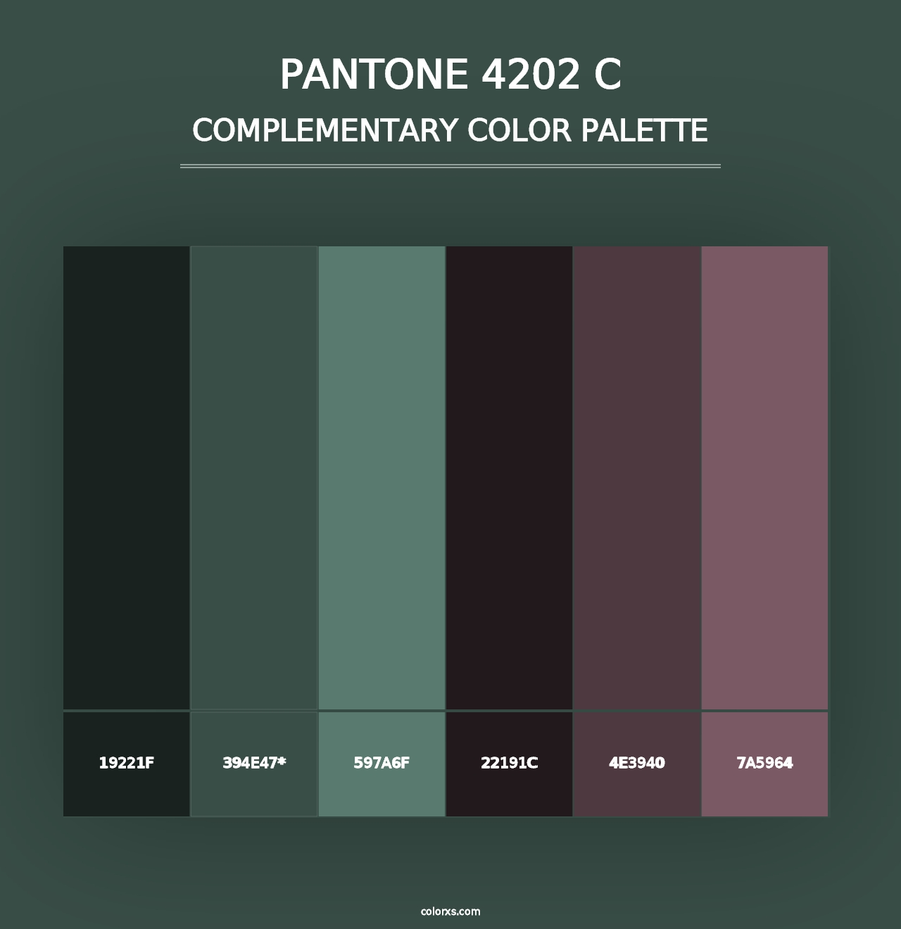 PANTONE 4202 C - Complementary Color Palette