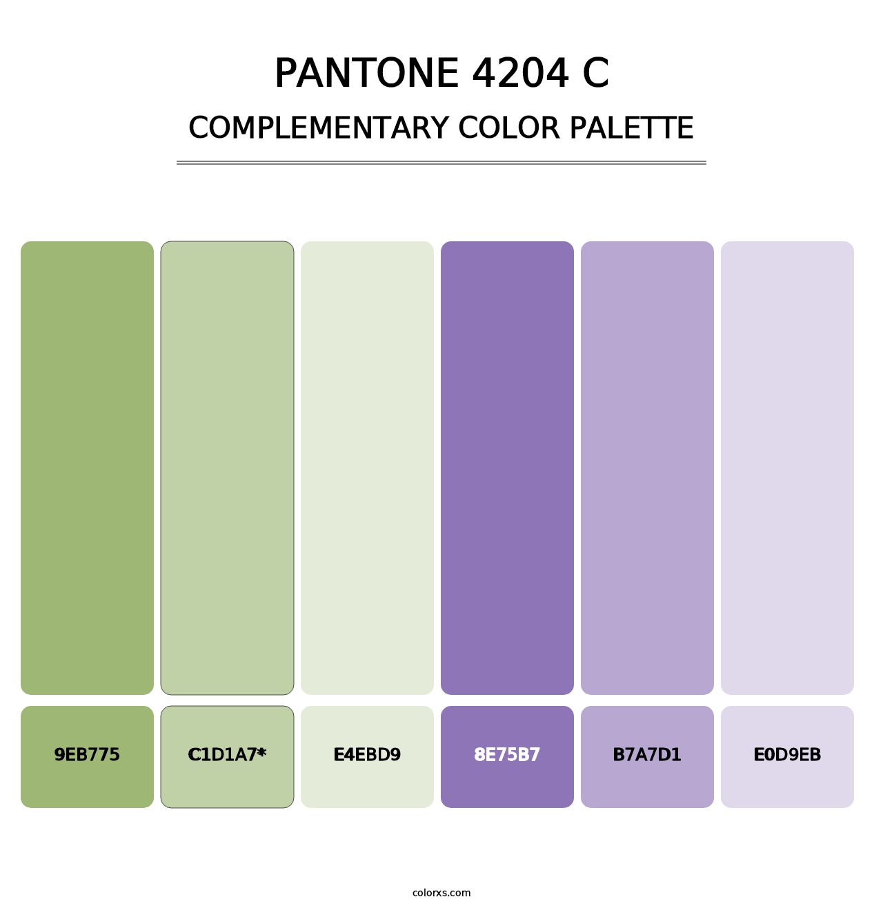 PANTONE 4204 C - Complementary Color Palette