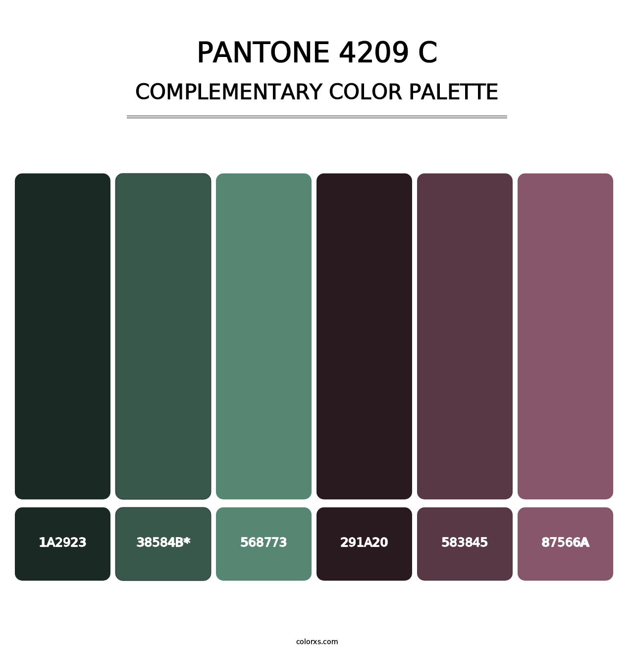 PANTONE 4209 C - Complementary Color Palette