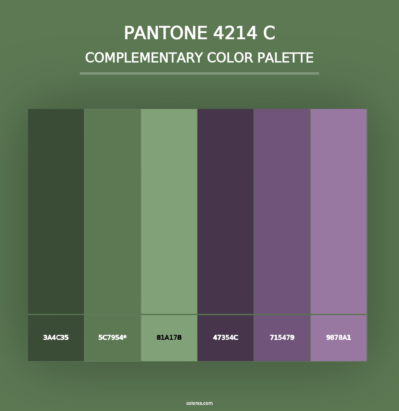 PANTONE 4214 C - Complementary Color Palette