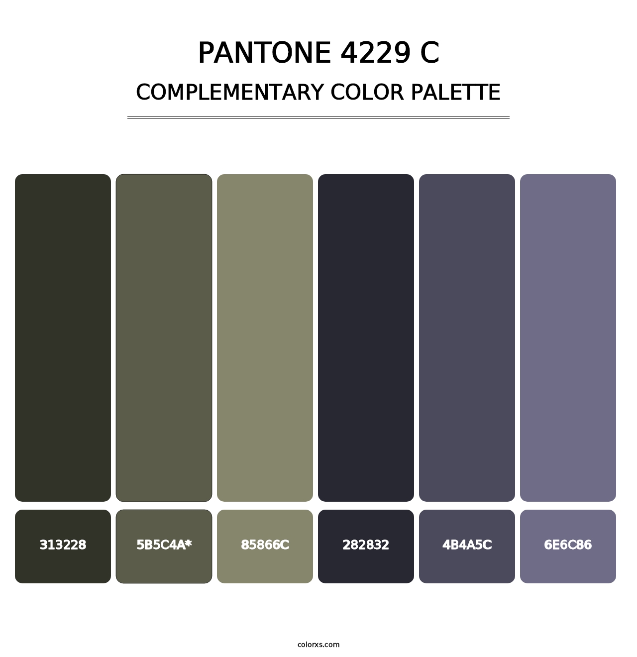 PANTONE 4229 C - Complementary Color Palette