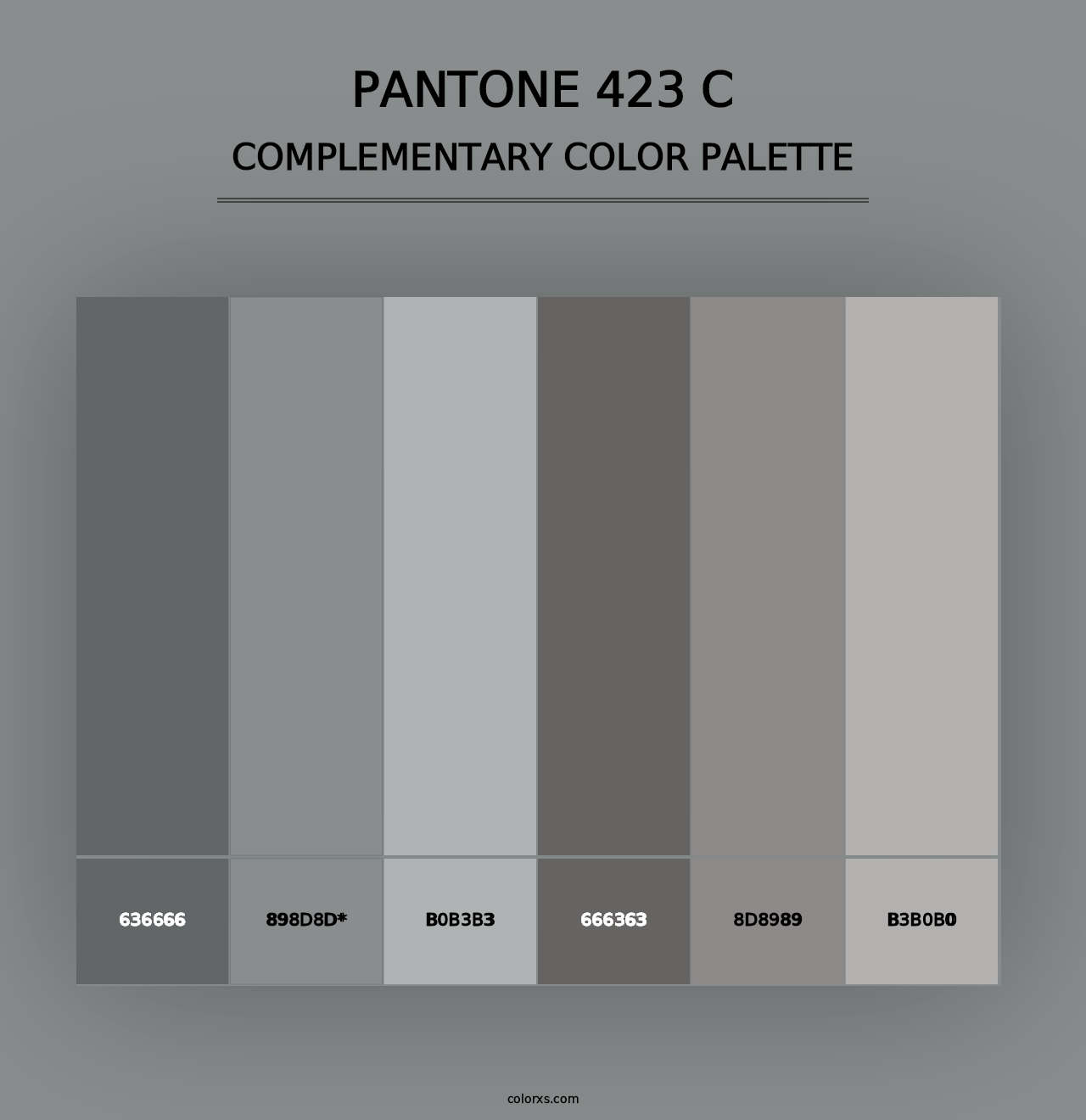 PANTONE 423 C - Complementary Color Palette