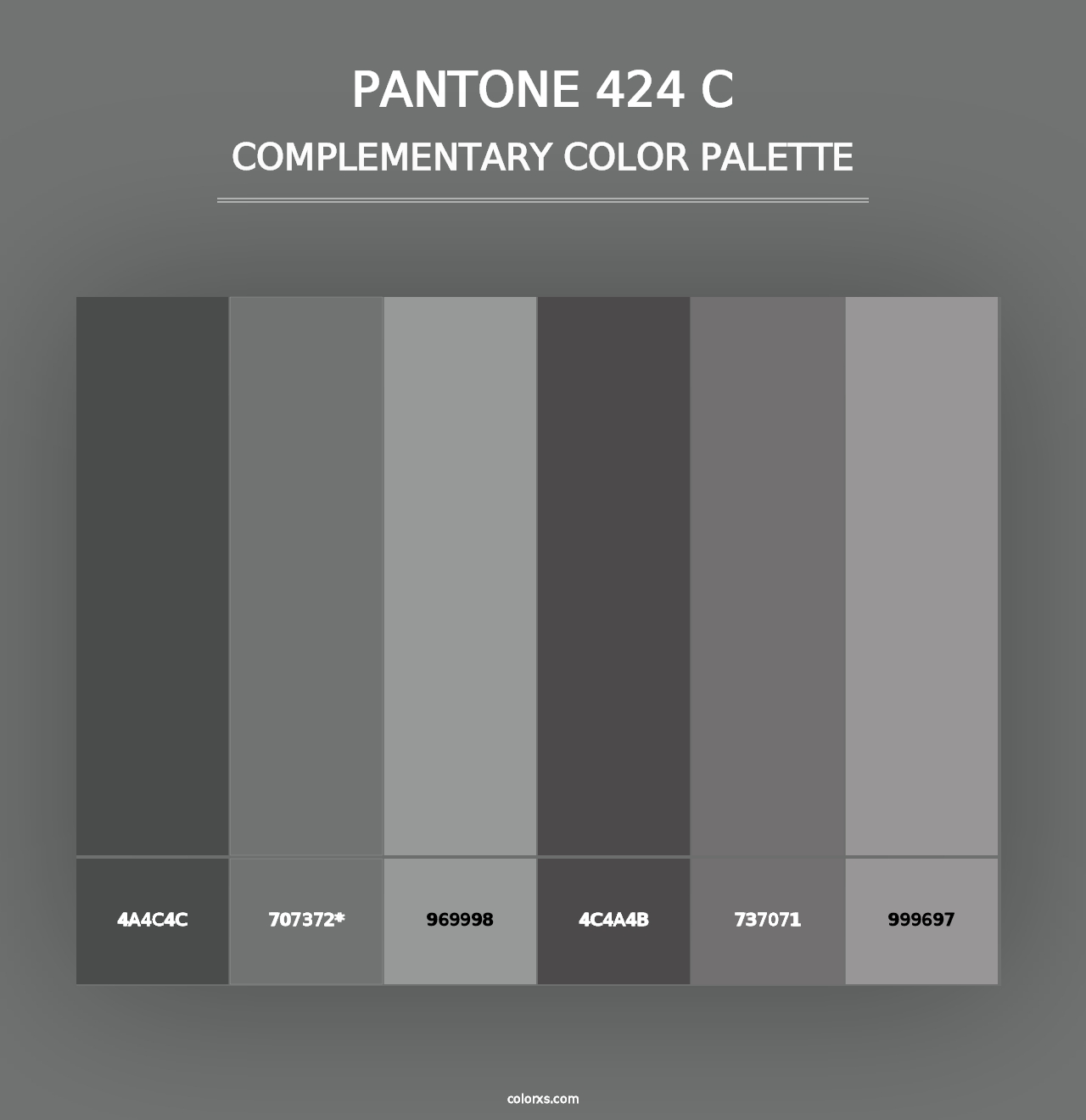 PANTONE 424 C - Complementary Color Palette