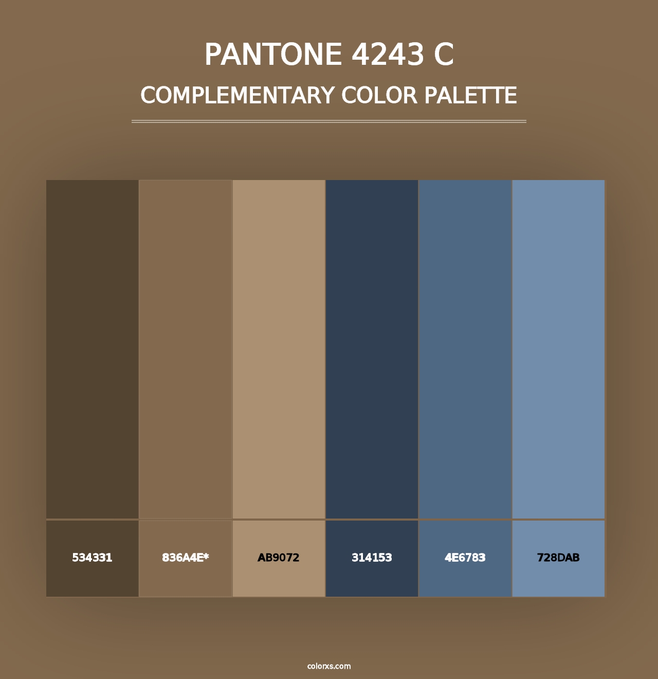 PANTONE 4243 C - Complementary Color Palette