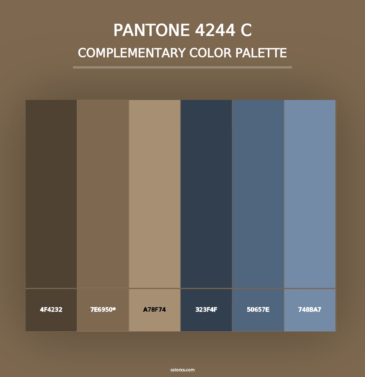 PANTONE 4244 C - Complementary Color Palette