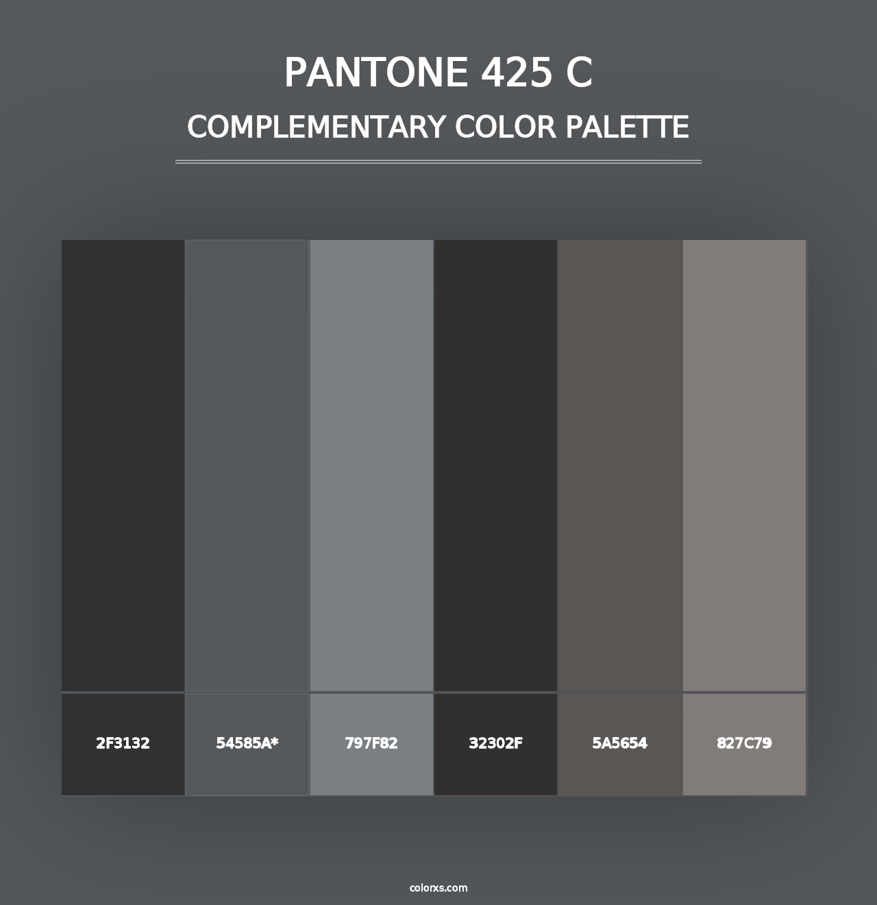 PANTONE 425 C - Complementary Color Palette