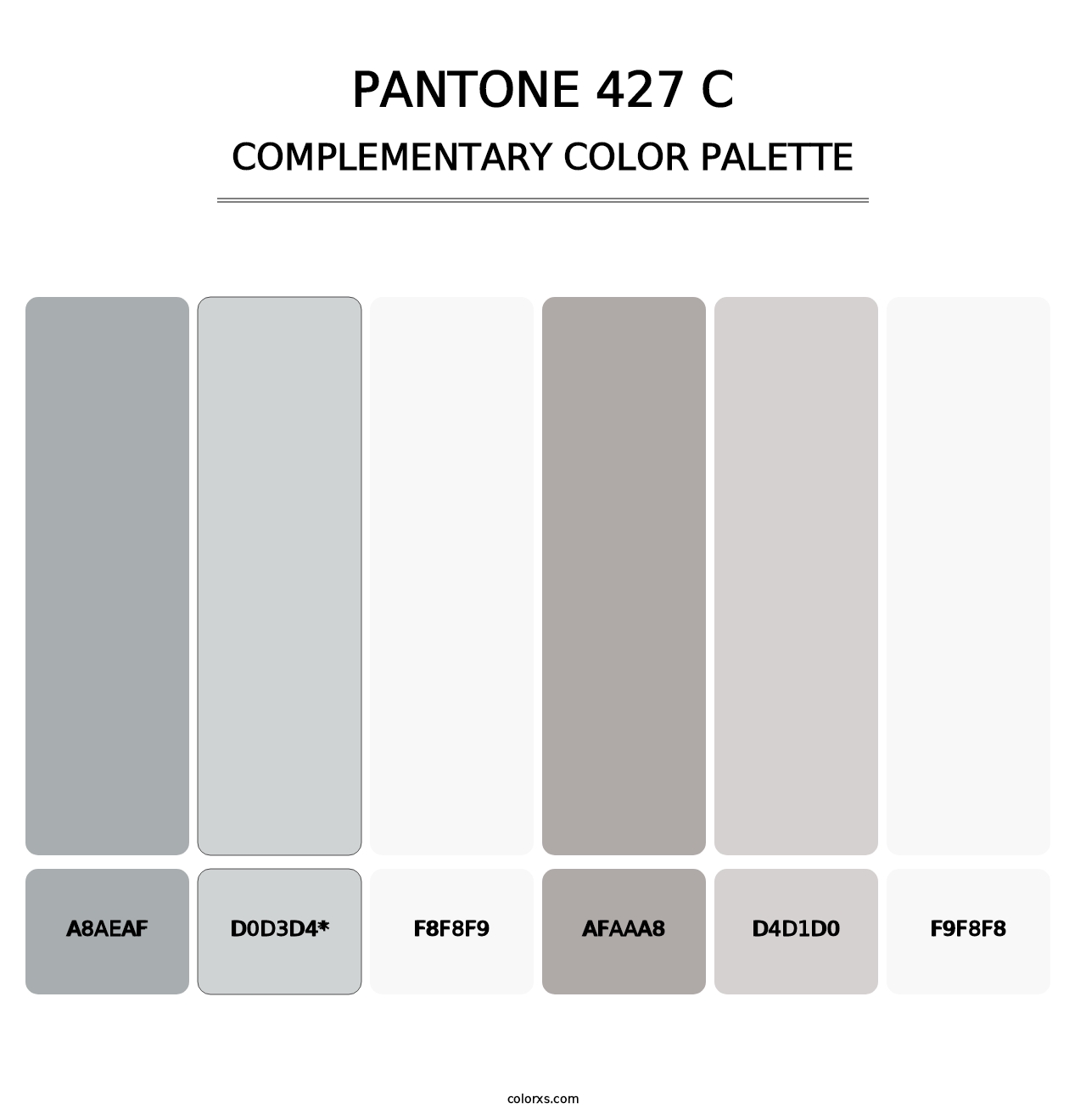 PANTONE 427 C - Complementary Color Palette