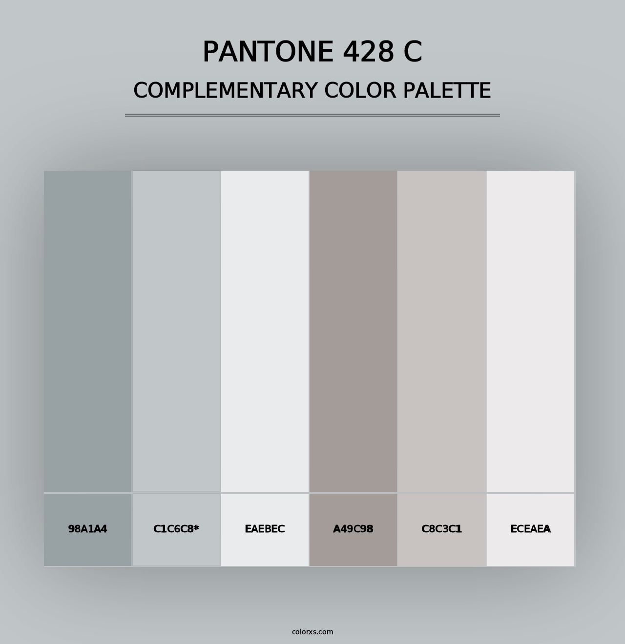 PANTONE 428 C - Complementary Color Palette